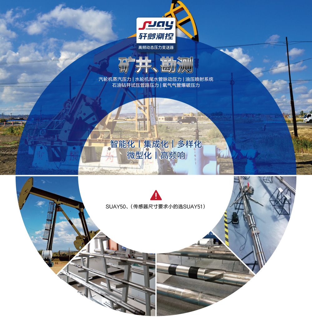 礦井勘測(汽輪機(jī)蒸汽、水輪機(jī)尾水管脈動(dòng)、油壓噴射系統(tǒng))